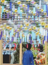 人気の和装フォトウェディング